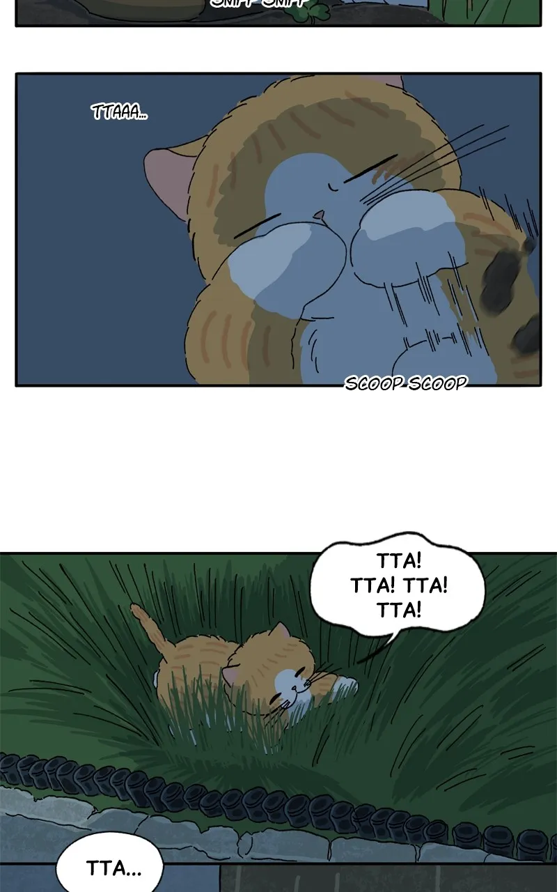 Tata the Cat Chapter 41 page 17 - 