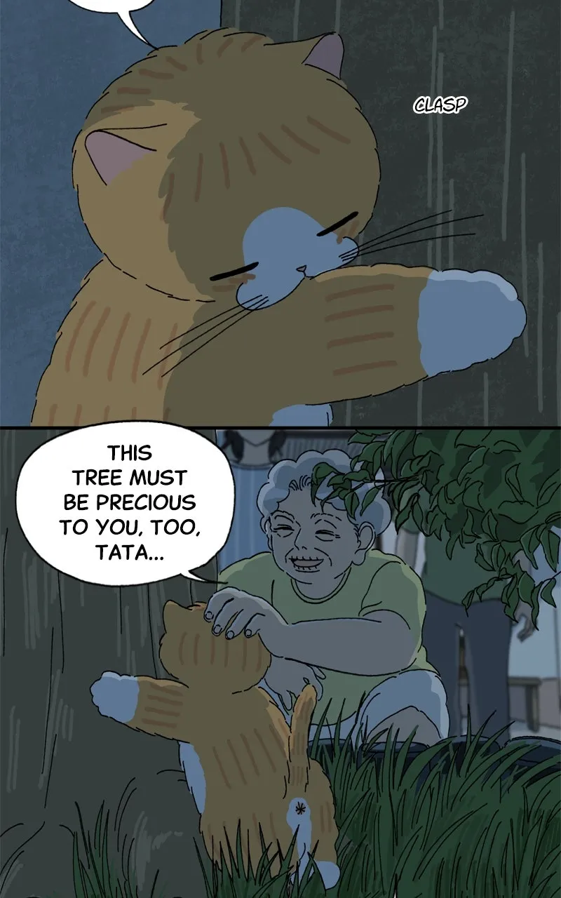 Tata the Cat Chapter 41 page 18 - 