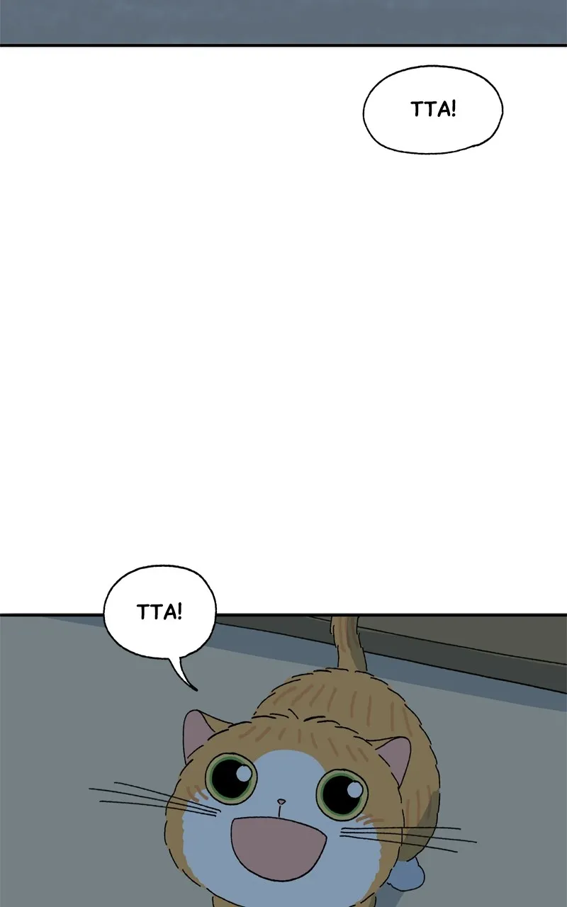 Tata the Cat Chapter 41 page 39 - 