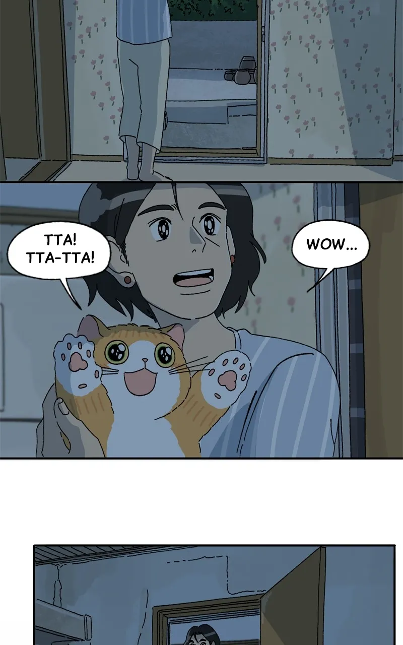 Tata the Cat Chapter 42 page 2 - 