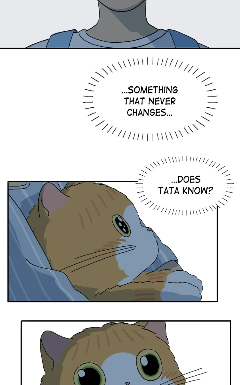 Tata the Cat Chapter 42 page 15 - 
