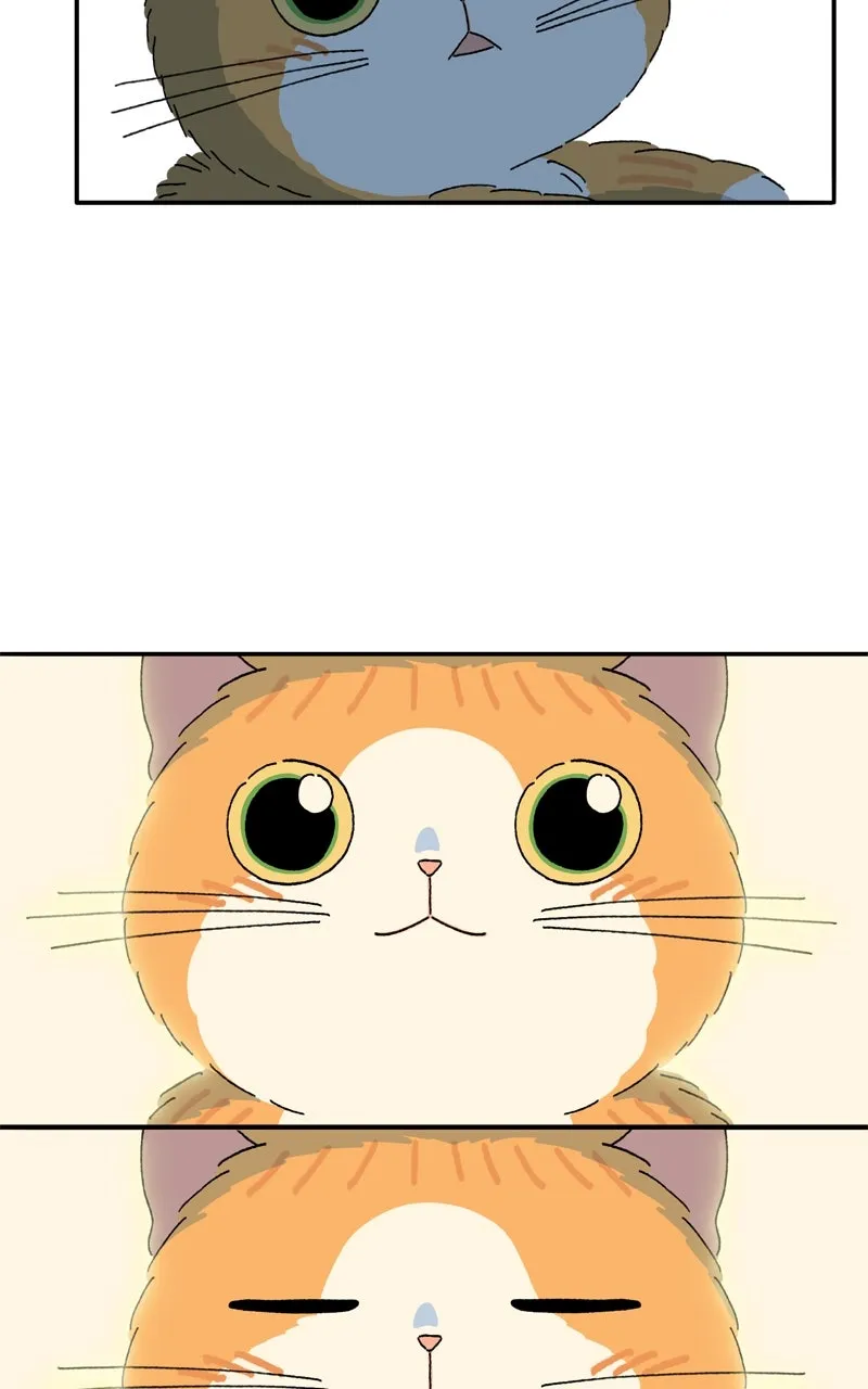 Tata the Cat Chapter 42 page 16 - 