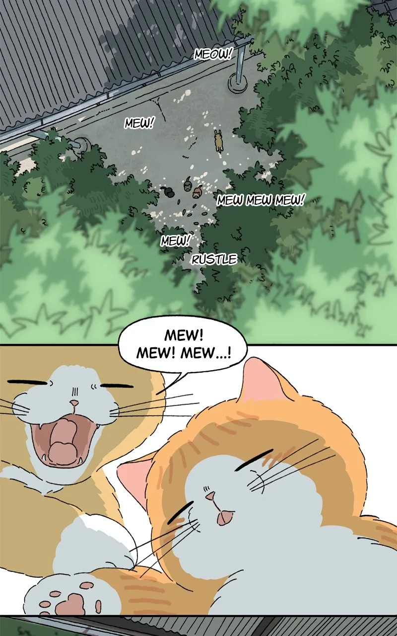 Tata the Cat Chapter 42 page 23 - 