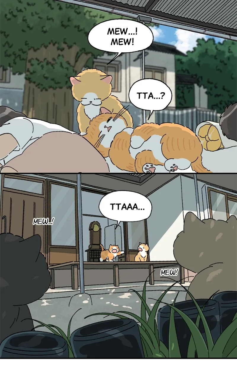 Tata the Cat Chapter 42 page 24 - 