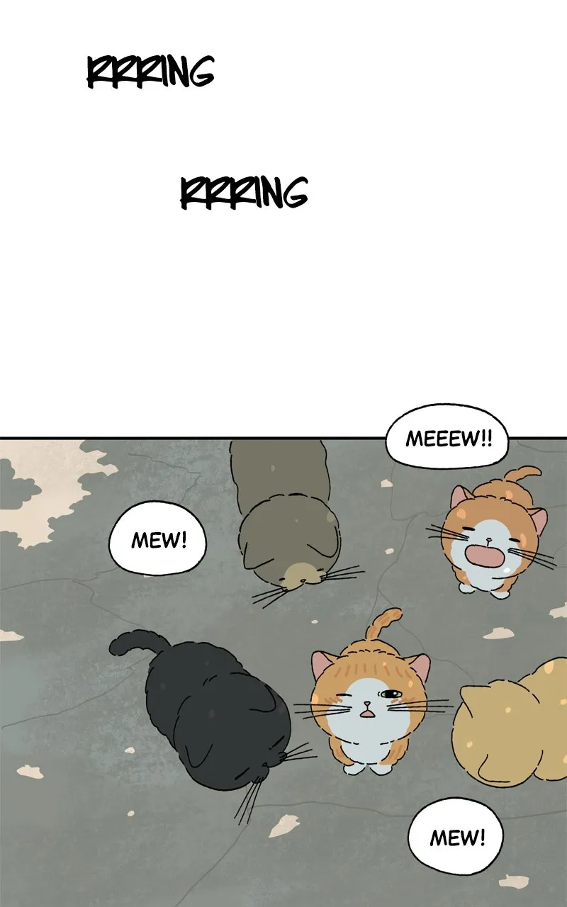 Tata the Cat Chapter 42 page 25 - 