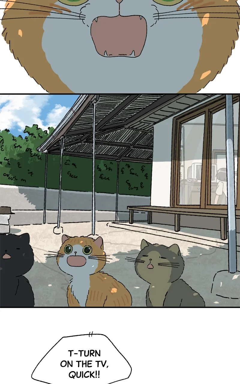 Tata the Cat Chapter 42 page 27 - 