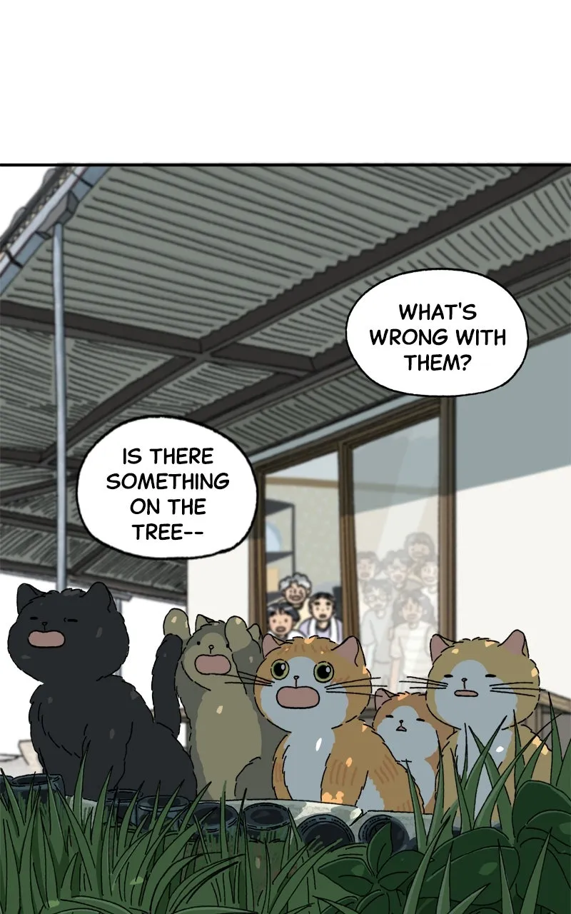 Tata the Cat Chapter 42 page 34 - 