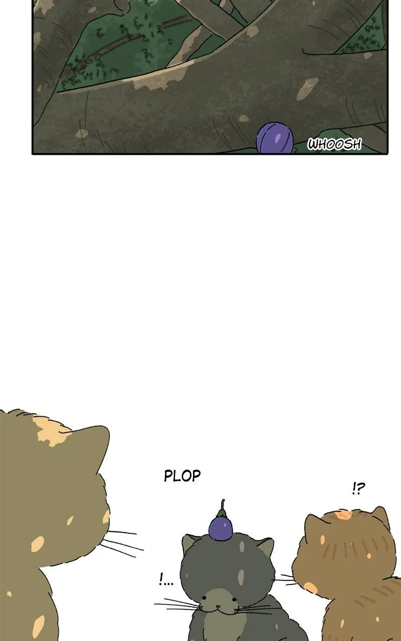 Tata the Cat Chapter 42 page 39 - 
