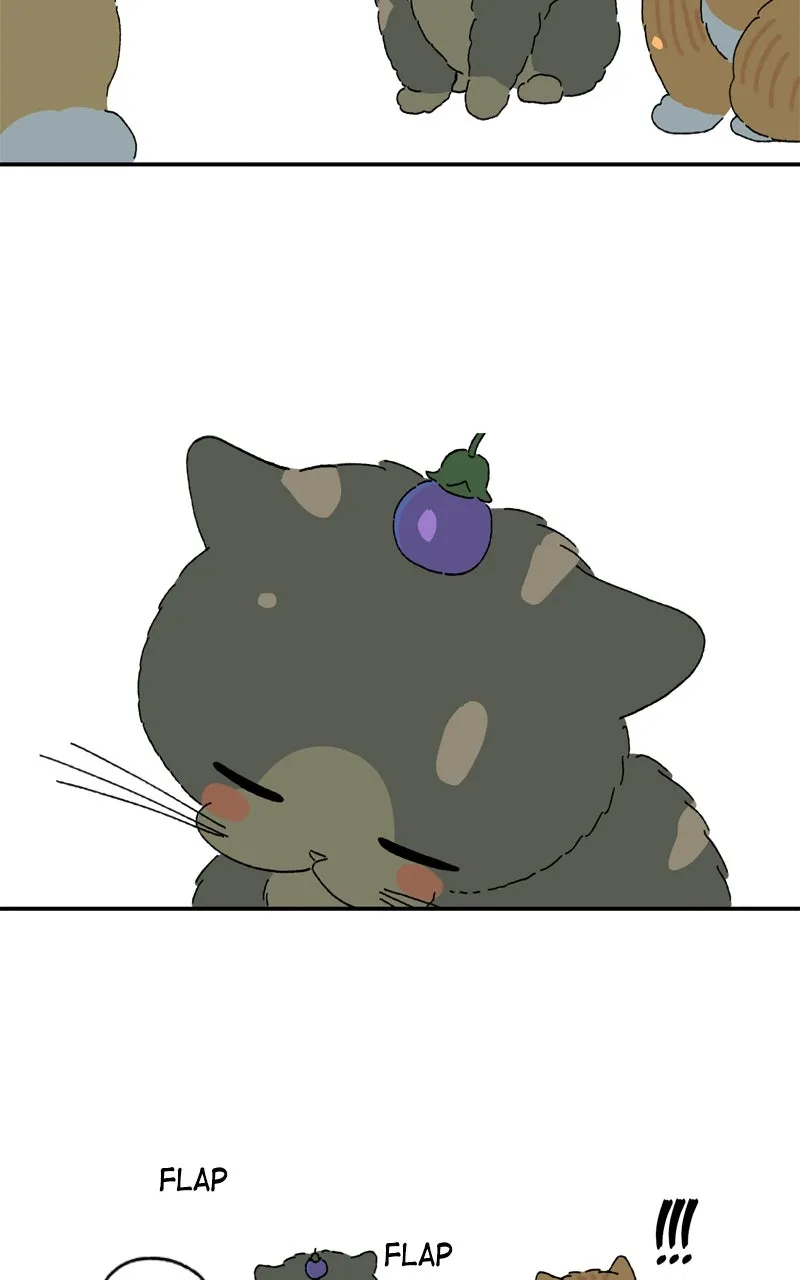 Tata the Cat Chapter 42 page 40 - 