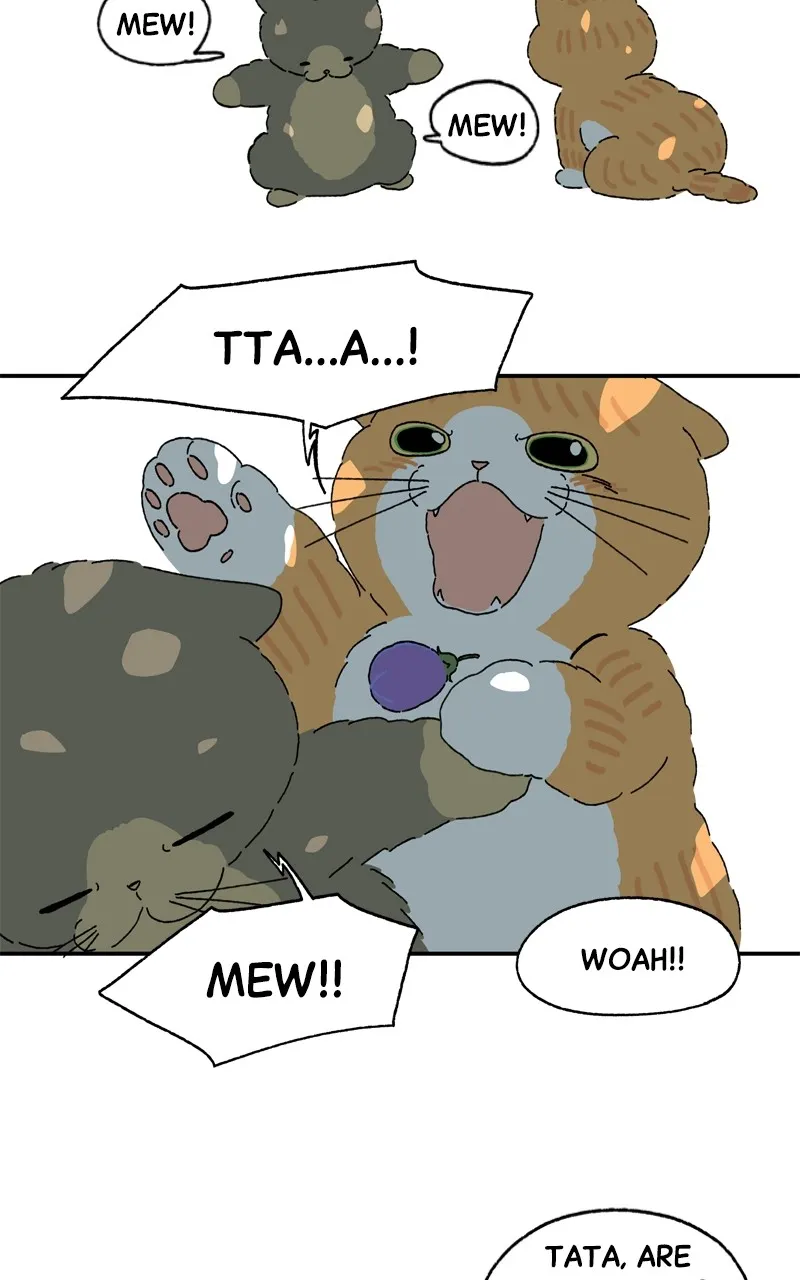 Tata the Cat Chapter 42 page 41 - 