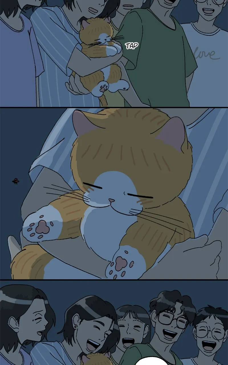 Tata the Cat Chapter 42 page 7 - 