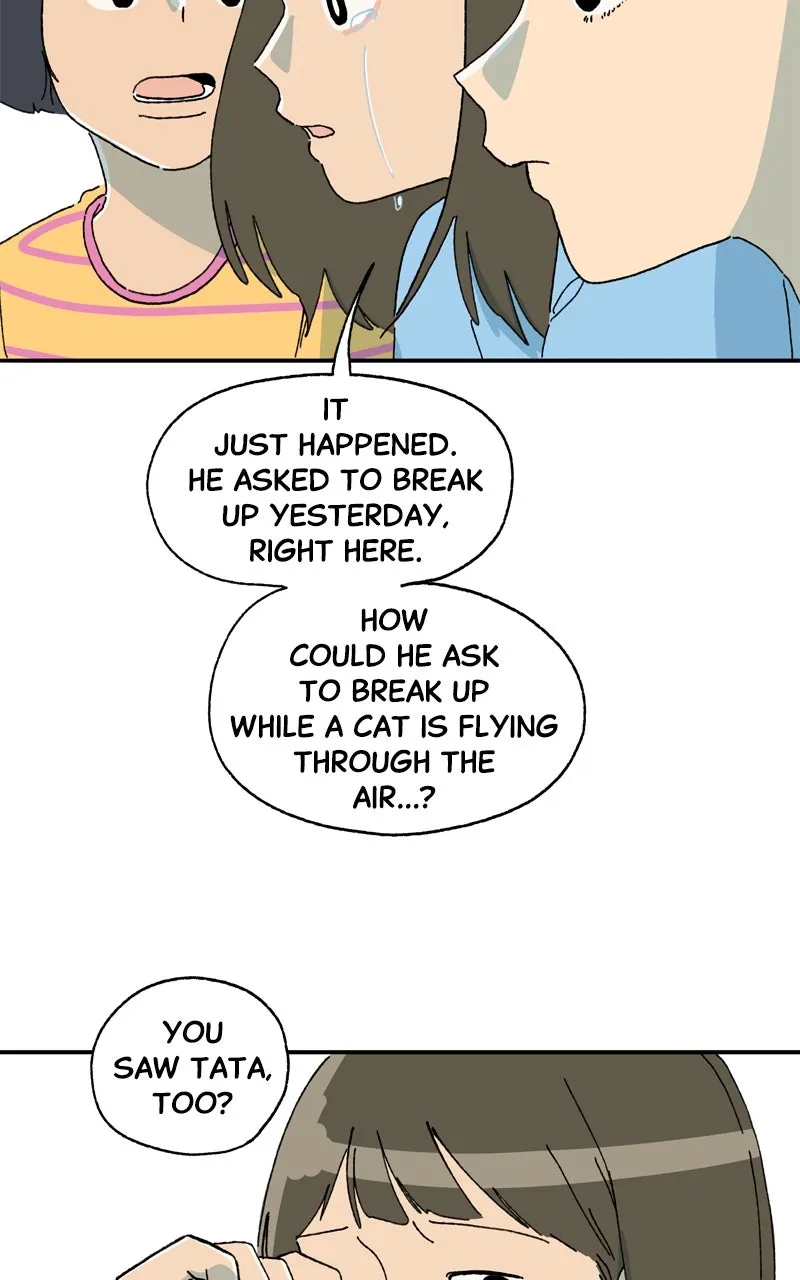 Tata the Cat Chapter 43 page 33 - 