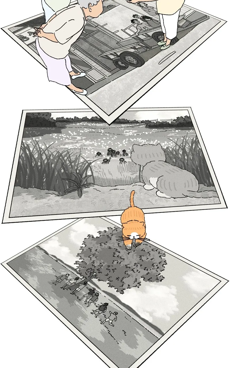 Tata the Cat Chapter 43 page 6 - 
