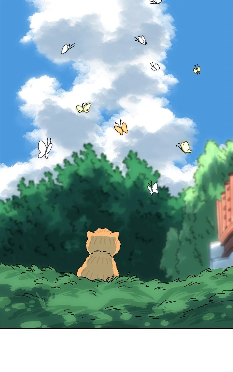 Tata the Cat Chapter 44 page 3 - 