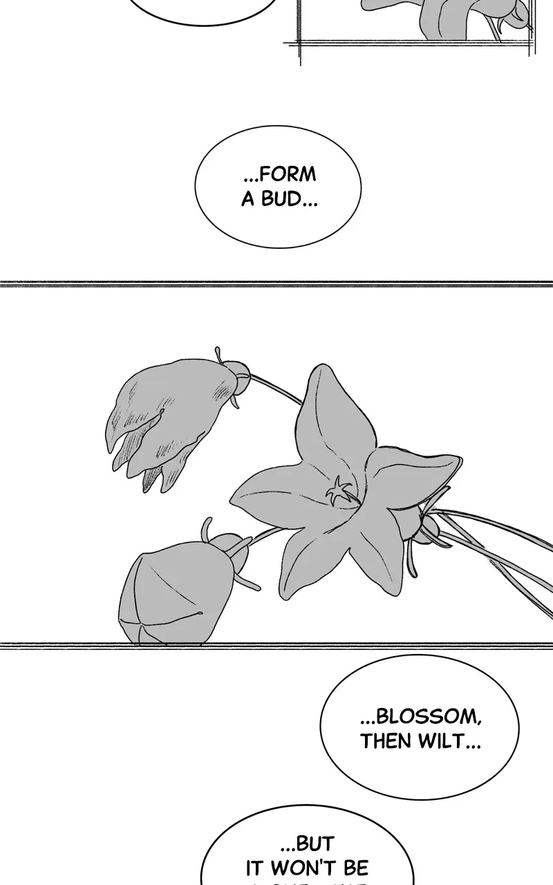 Tata the Cat Chapter 44 page 25 - 