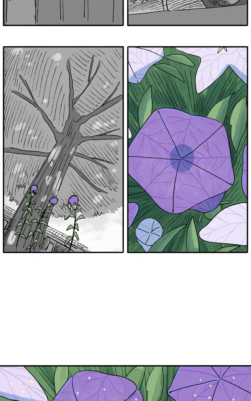 Tata the Cat Chapter 44 page 40 - 