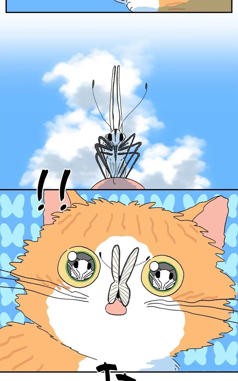 Tata the Cat Chapter 44 page 5 - 