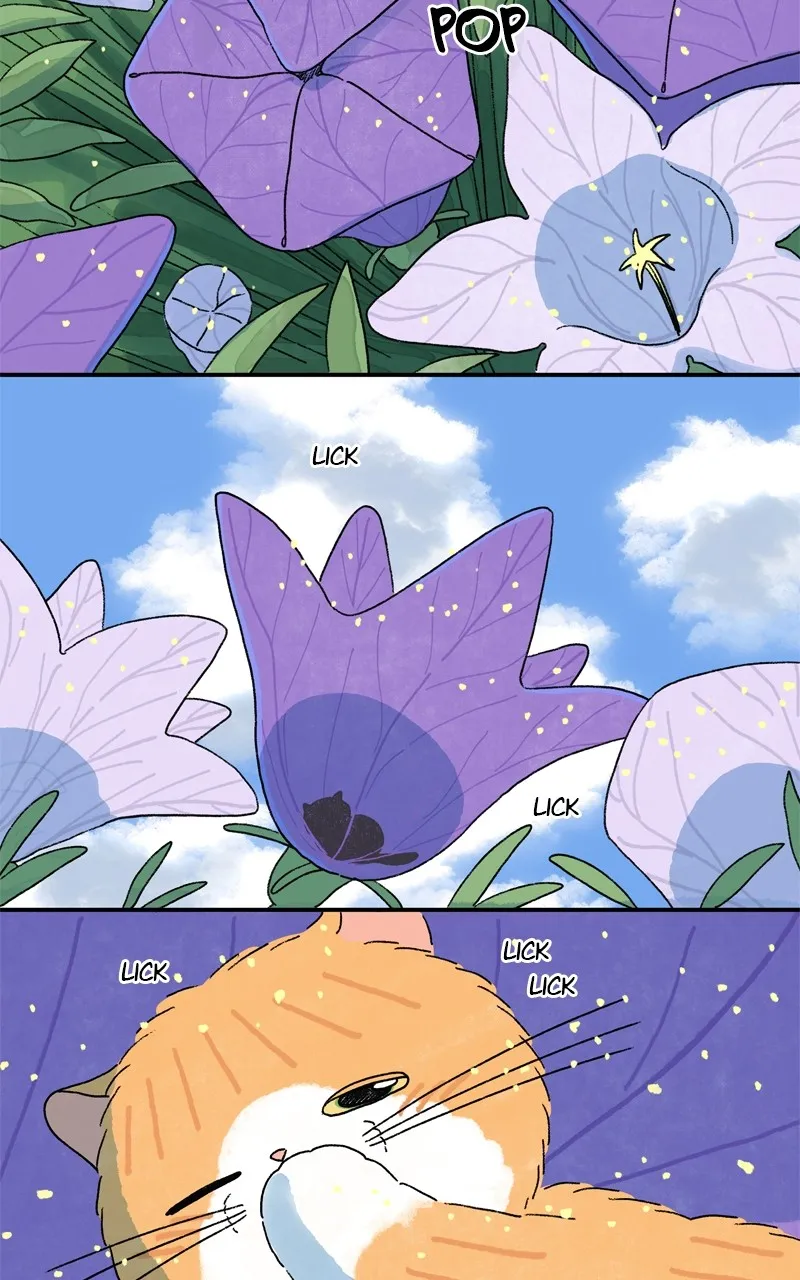 Tata the Cat Chapter 44 page 41 - 