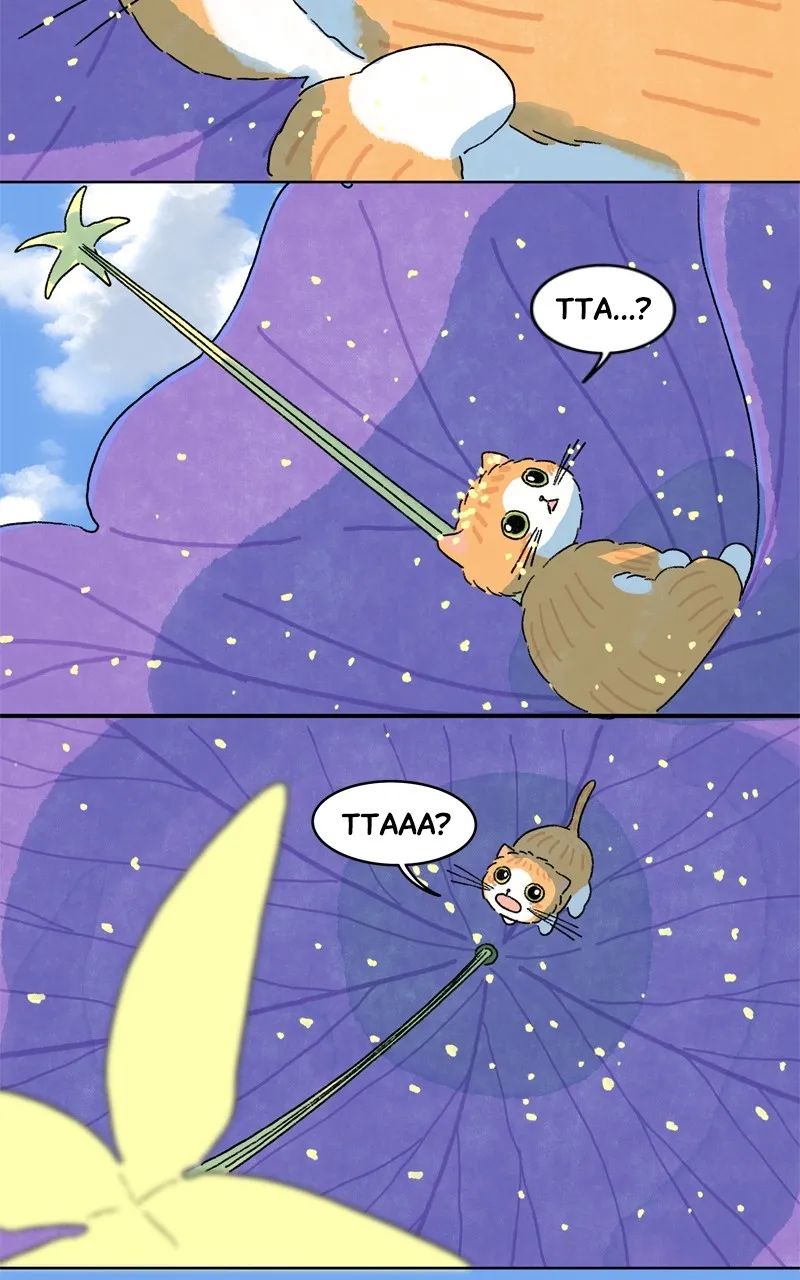 Tata the Cat Chapter 44 page 42 - 