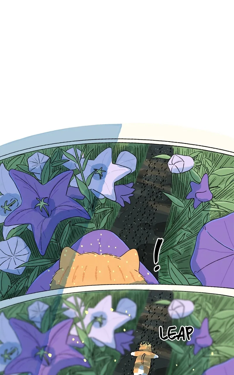 Tata the Cat Chapter 44 page 44 - 