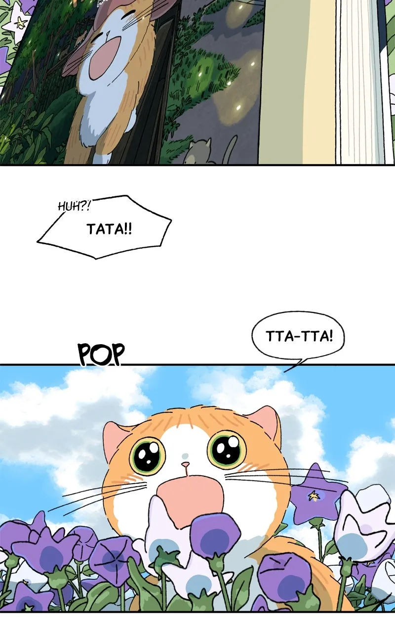 Tata the Cat Chapter 44 page 46 - 