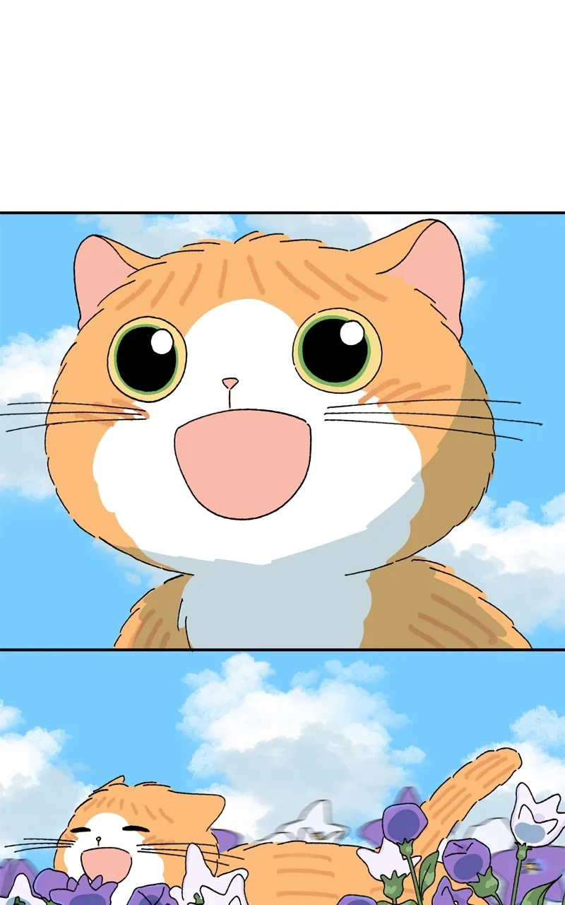 Tata the Cat Chapter 44 page 48 - 