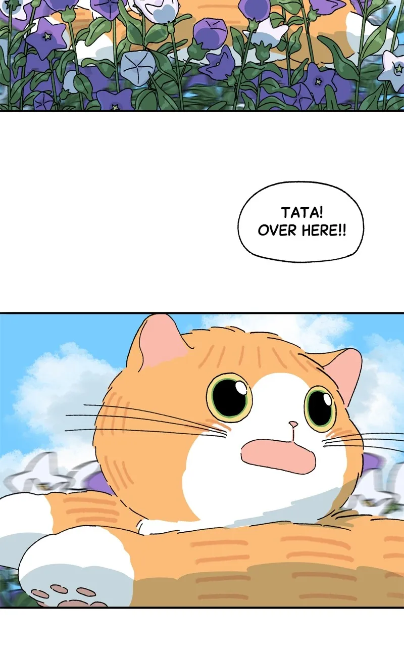 Tata the Cat Chapter 44 page 49 - 