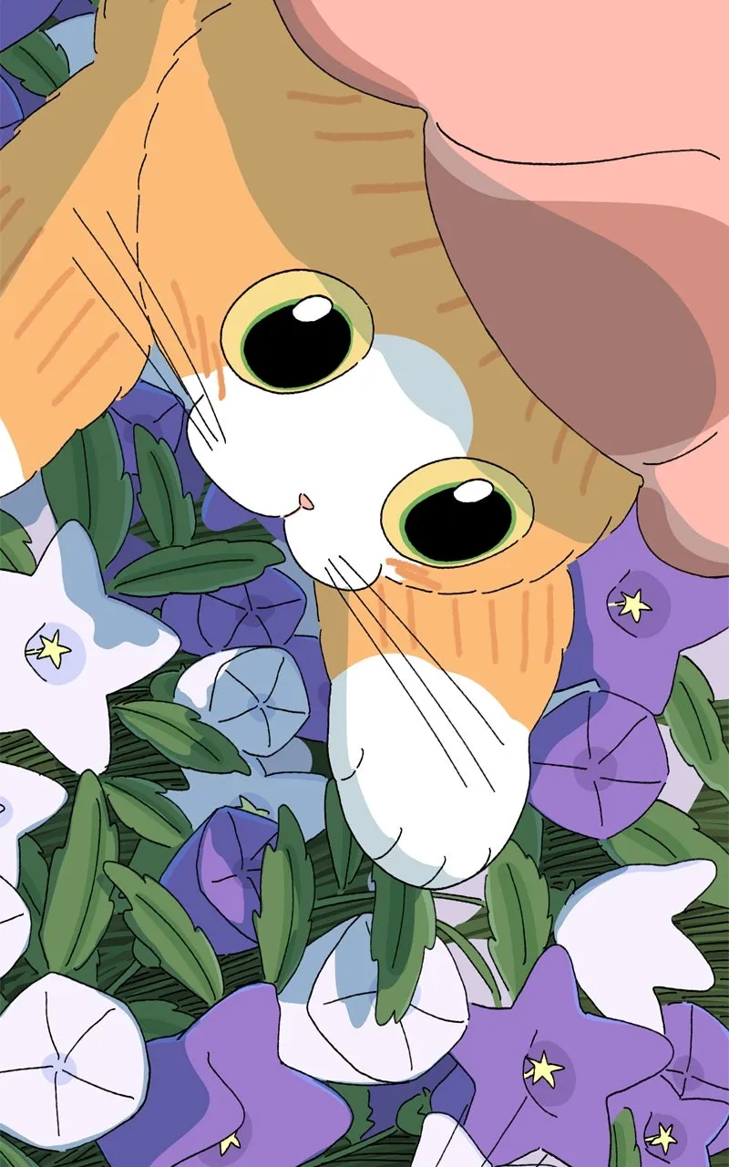 Tata the Cat Chapter 44 page 57 - 