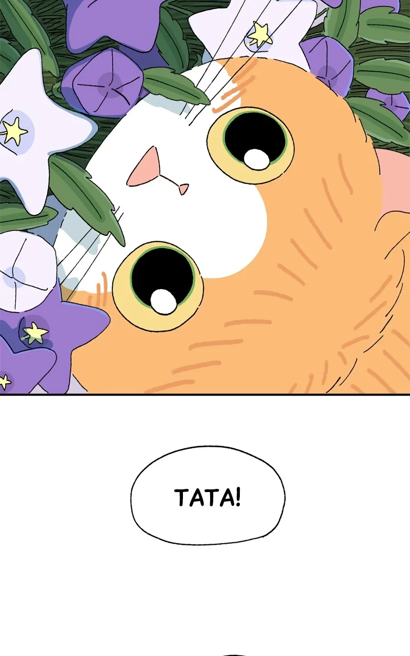 Tata the Cat Chapter 44 page 58 - 