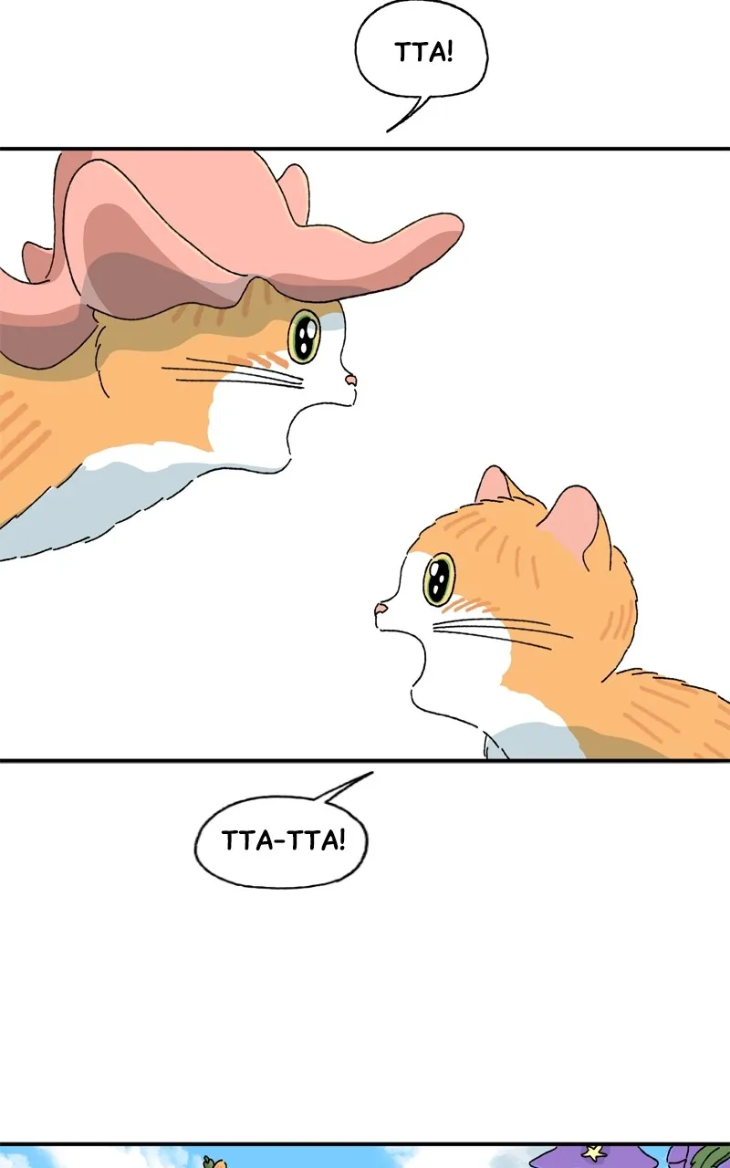 Tata the Cat Chapter 44 page 59 - 