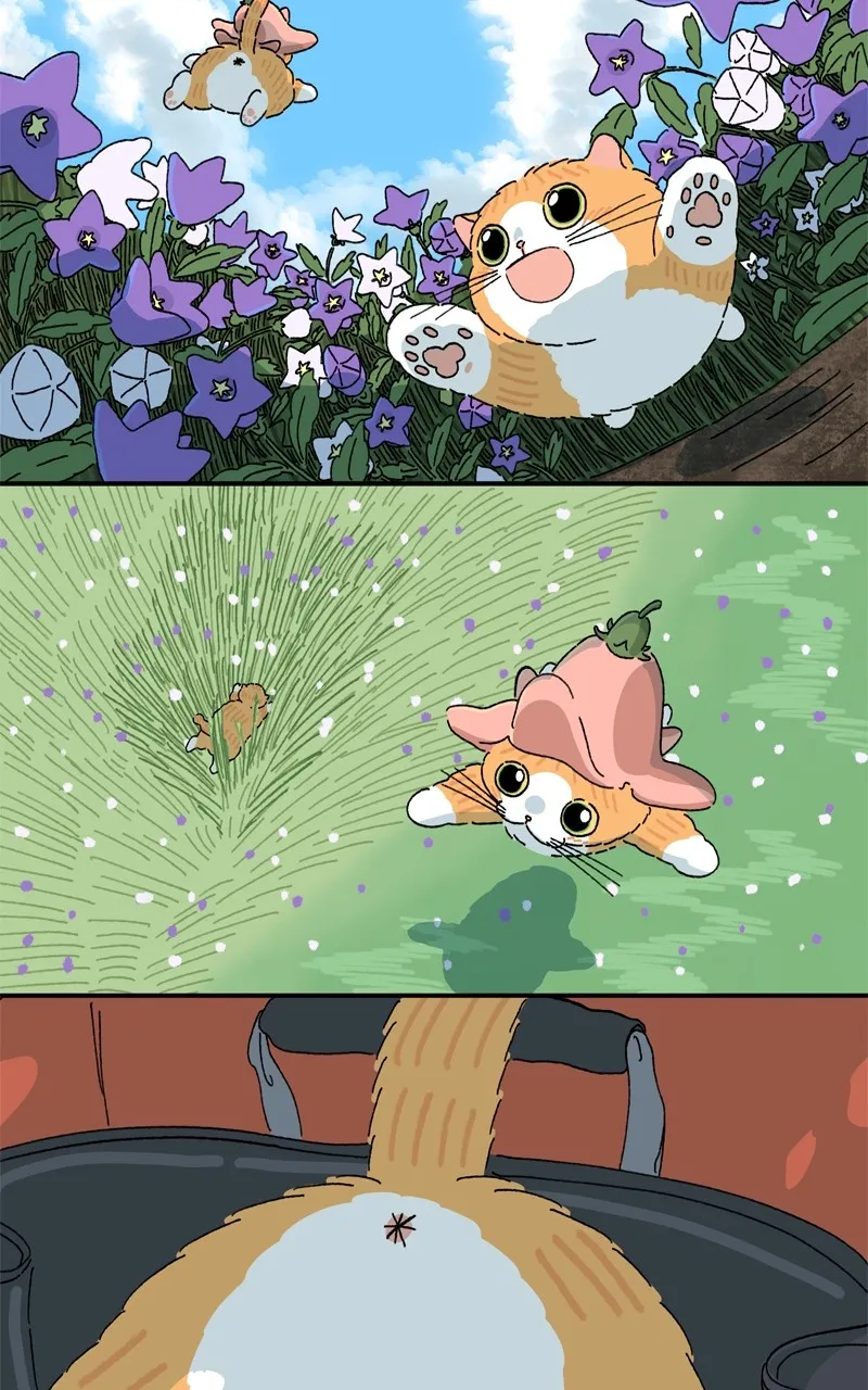 Tata the Cat Chapter 44 page 60 - 