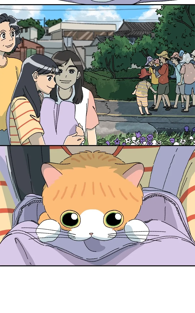 Tata the Cat Chapter 44 page 64 - 