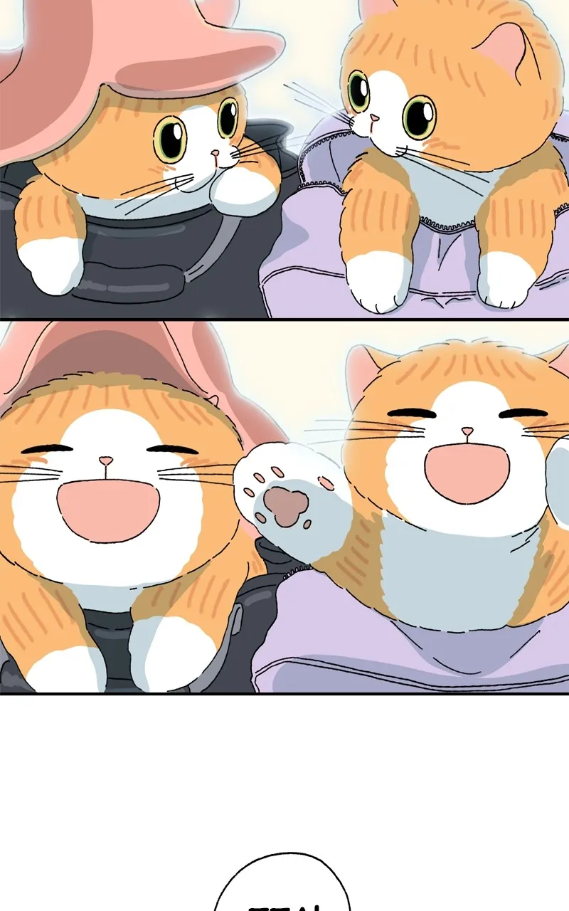 Tata the Cat Chapter 44 page 70 - 