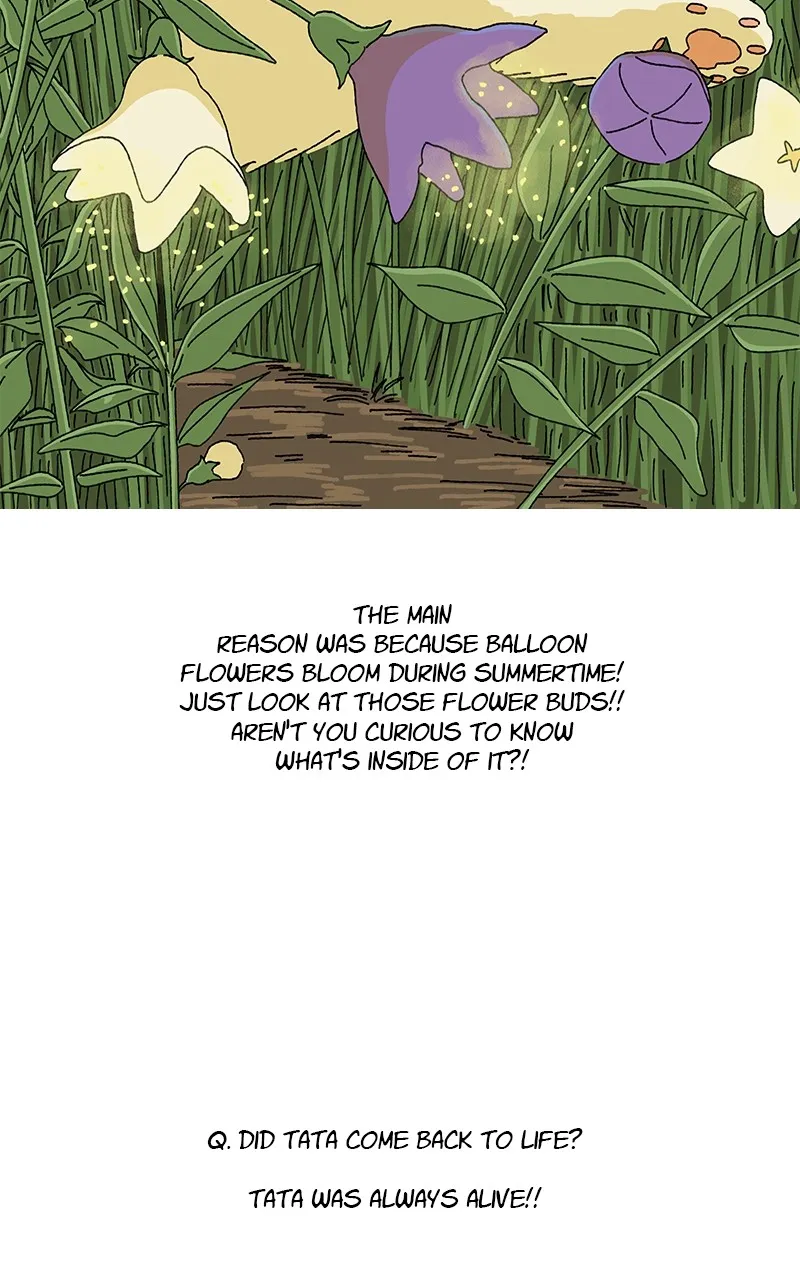 Tata the Cat Chapter 45 page 31 - 