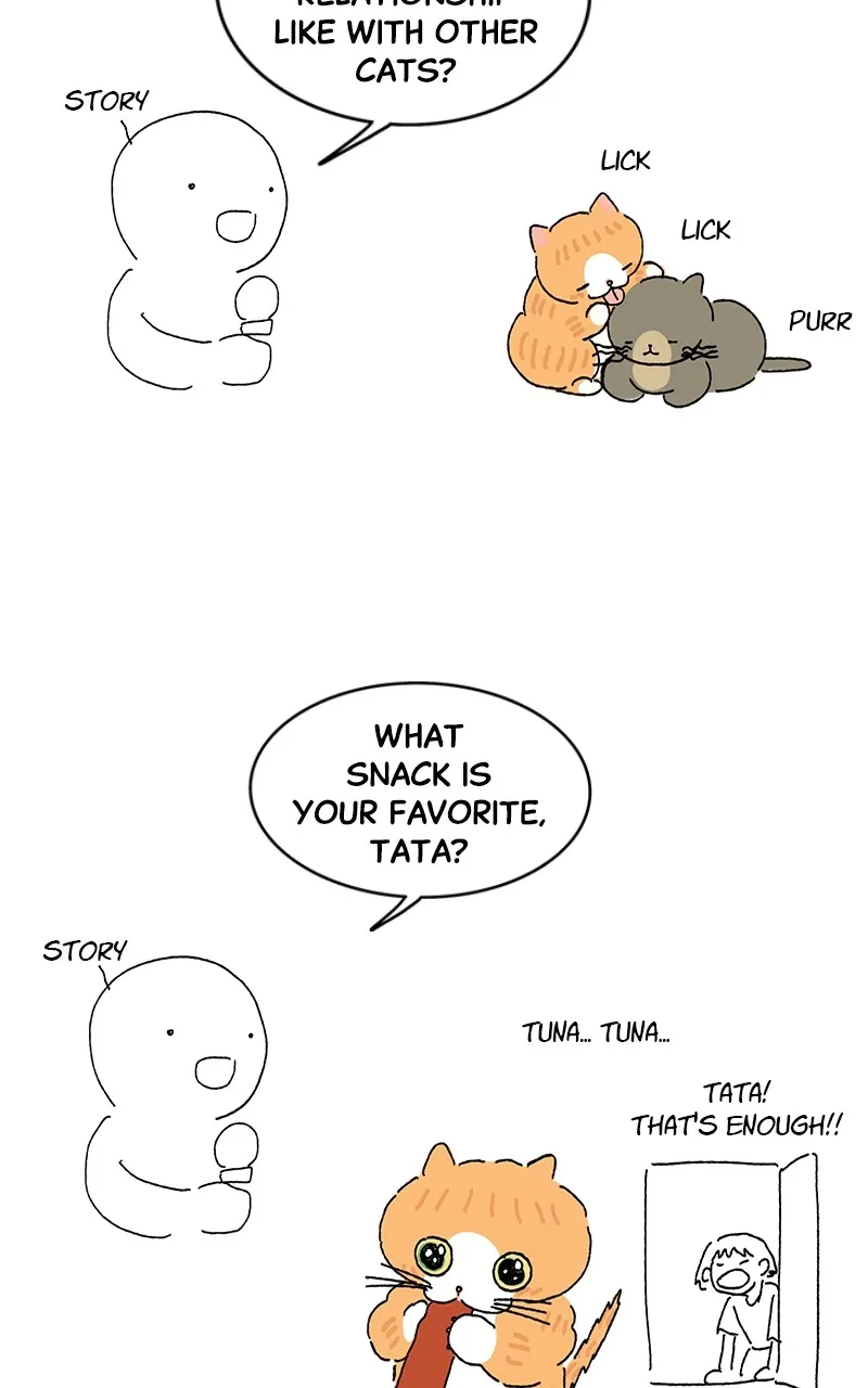 Tata the Cat Chapter 45 page 33 - 