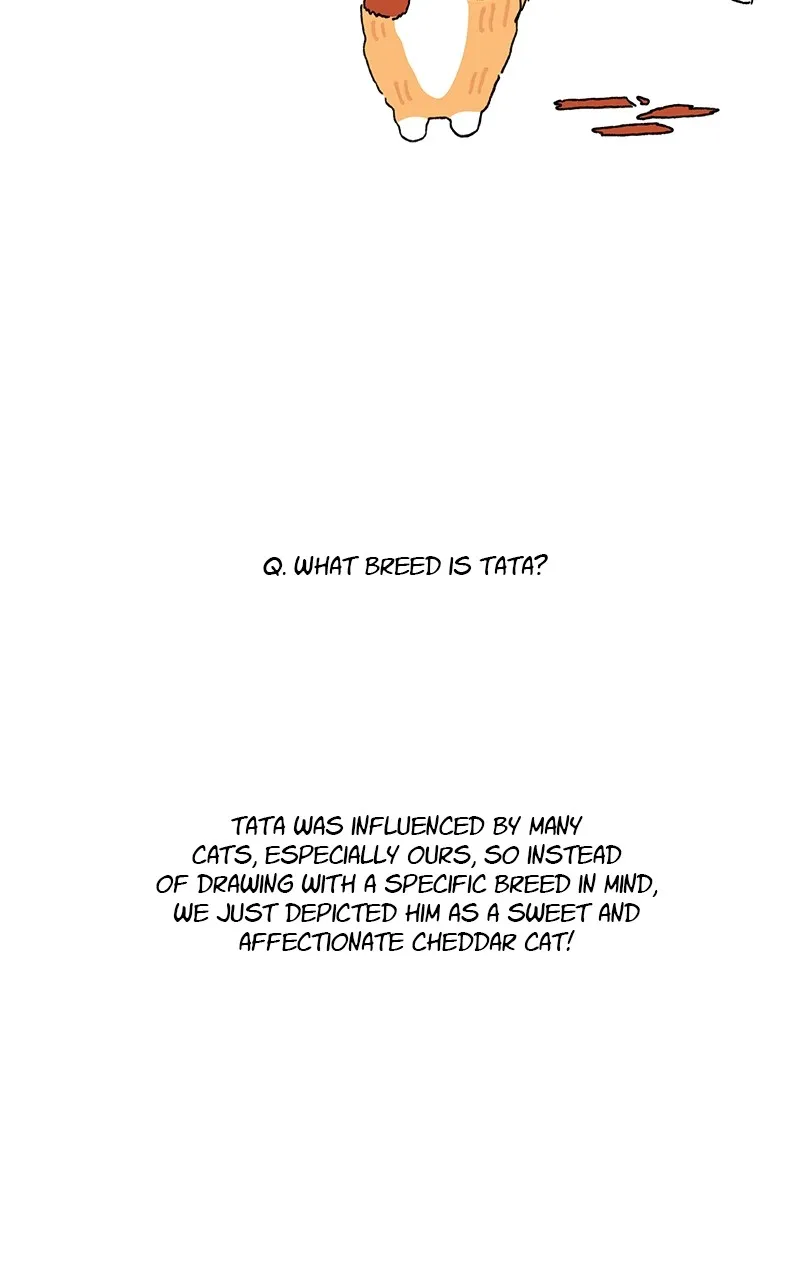 Tata the Cat Chapter 45 page 34 - 