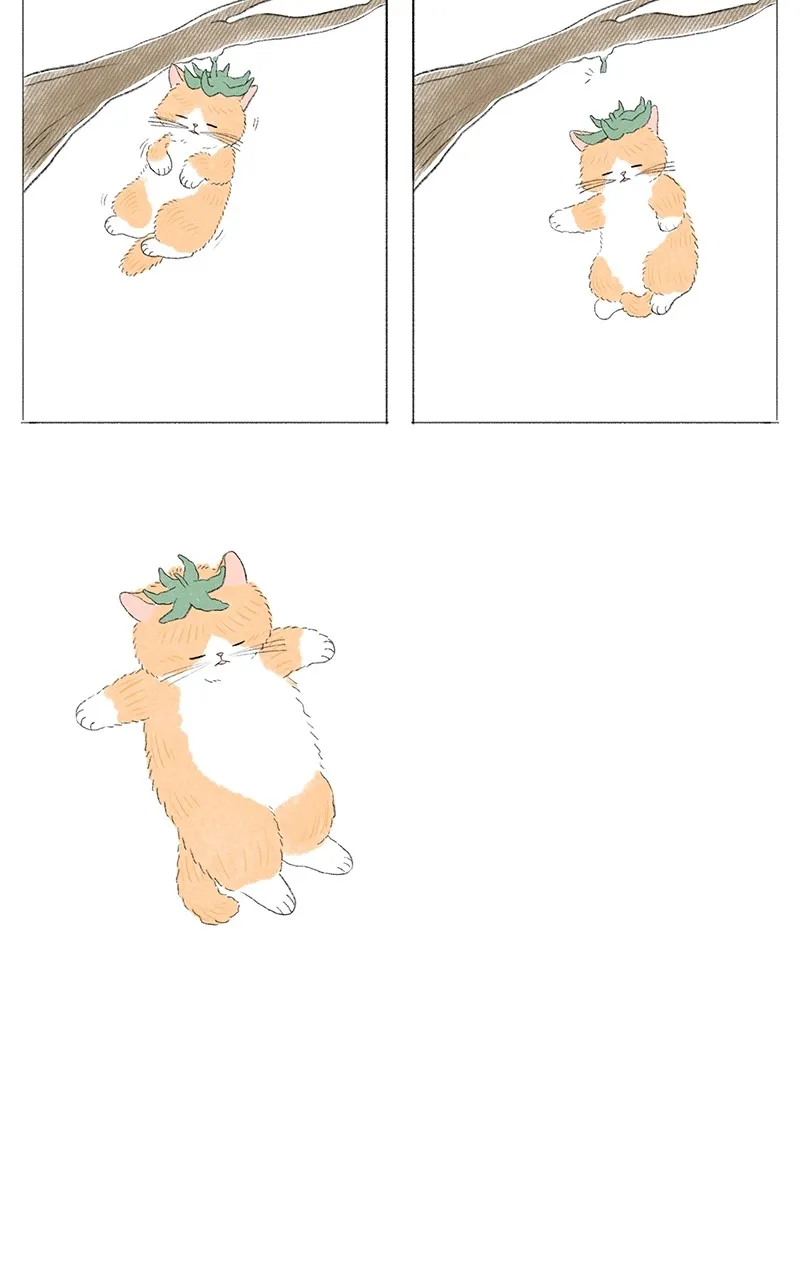 Tata the Cat Chapter 45 page 7 - 