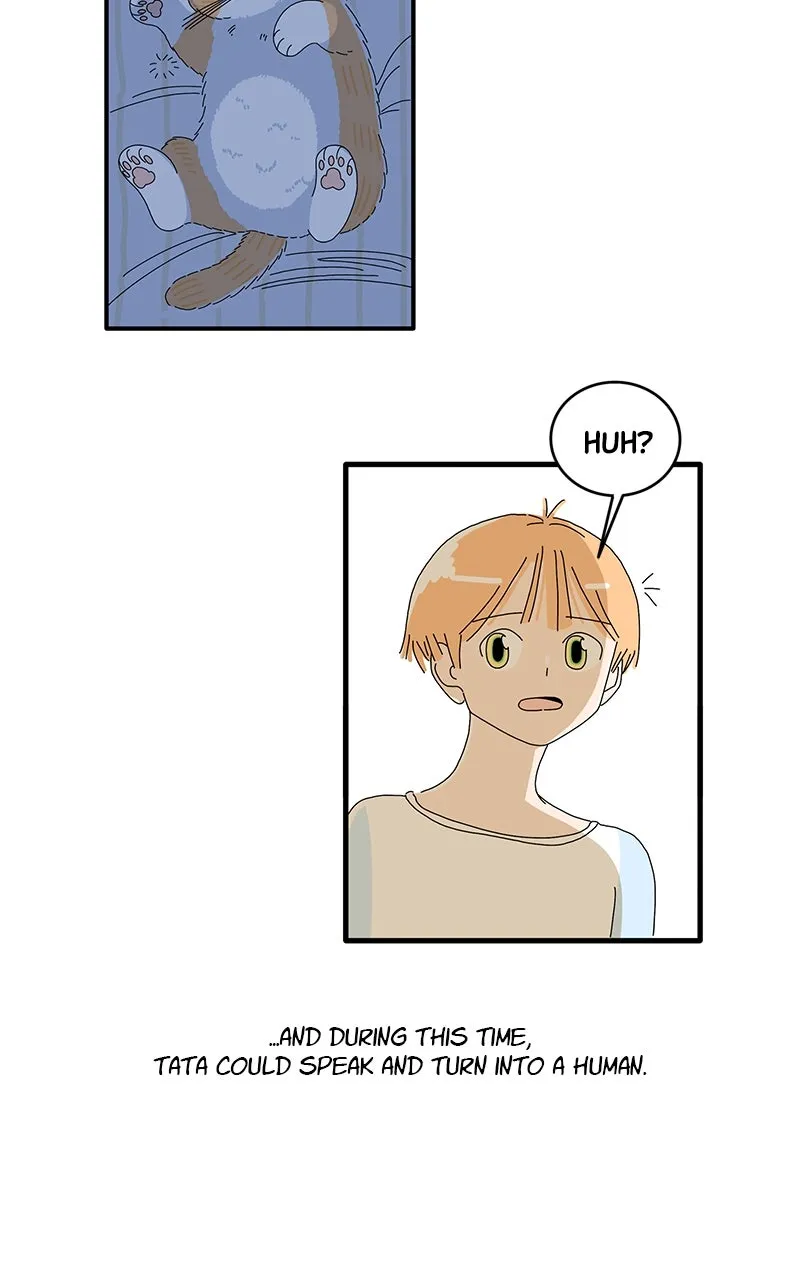 Tata the Cat Chapter 45 page 9 - 