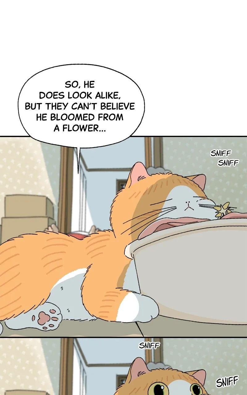 Tata the Cat Chapter 5 page 1 - 