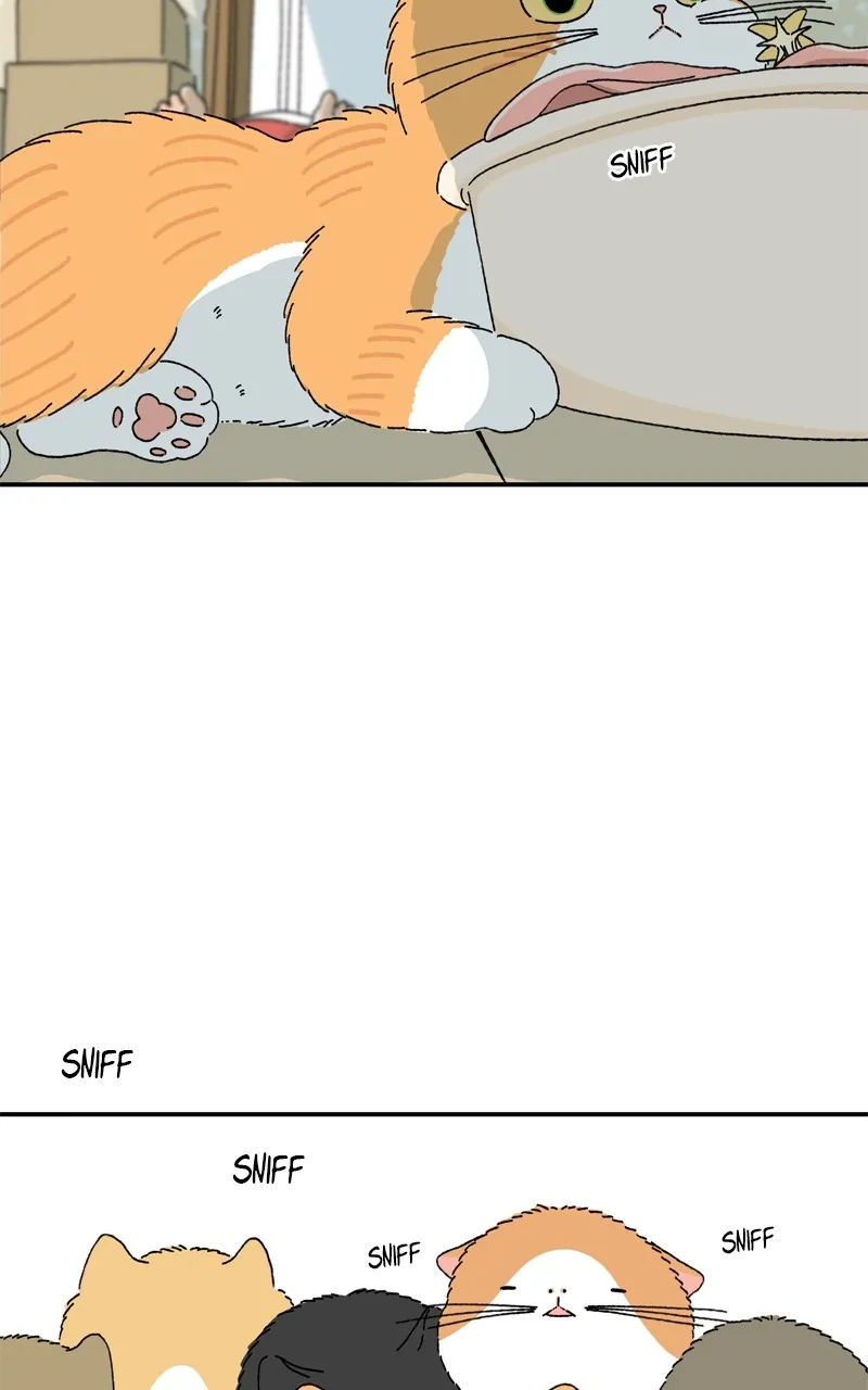 Tata the Cat Chapter 5 page 2 - 