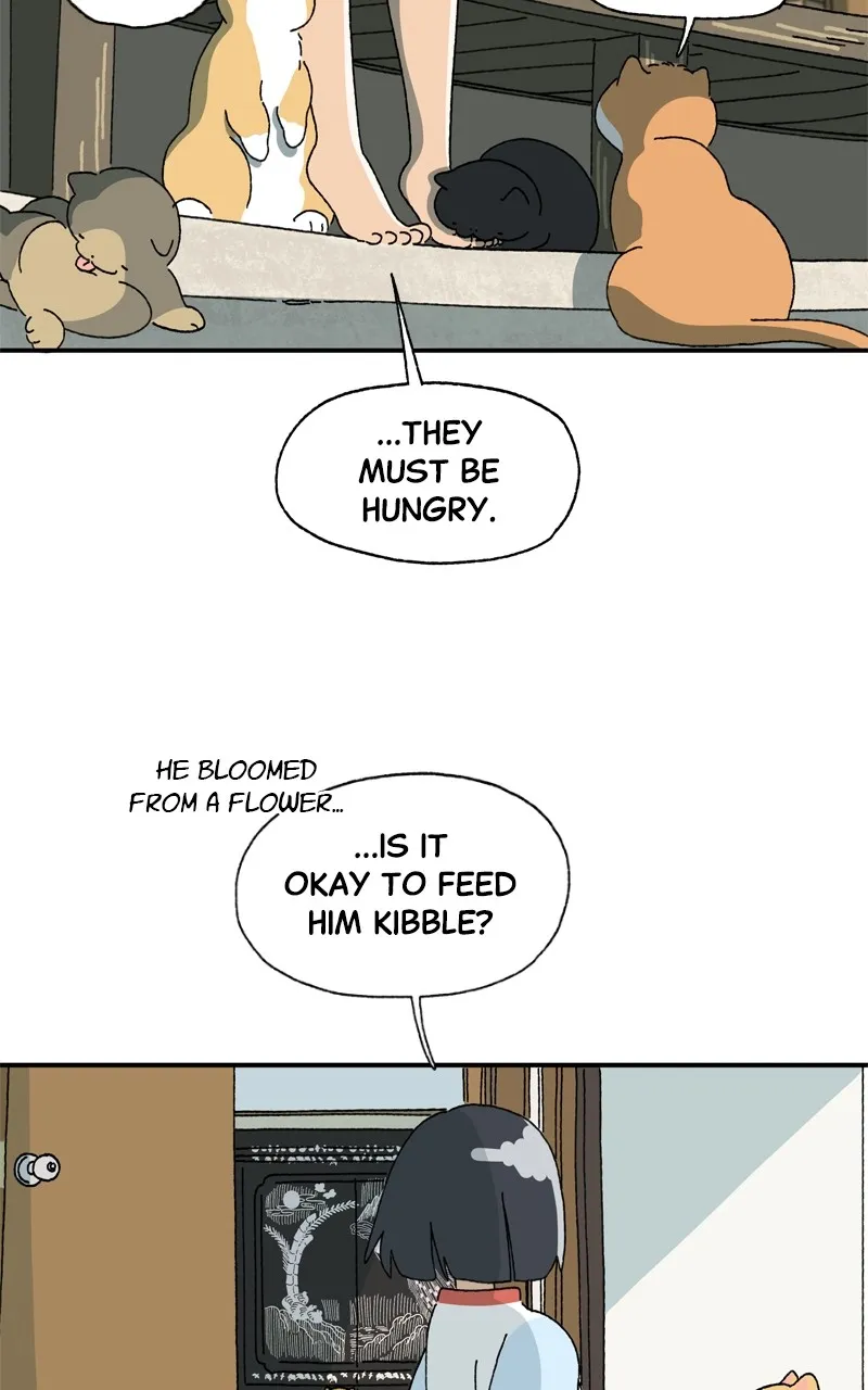 Tata the Cat Chapter 5 page 18 - 