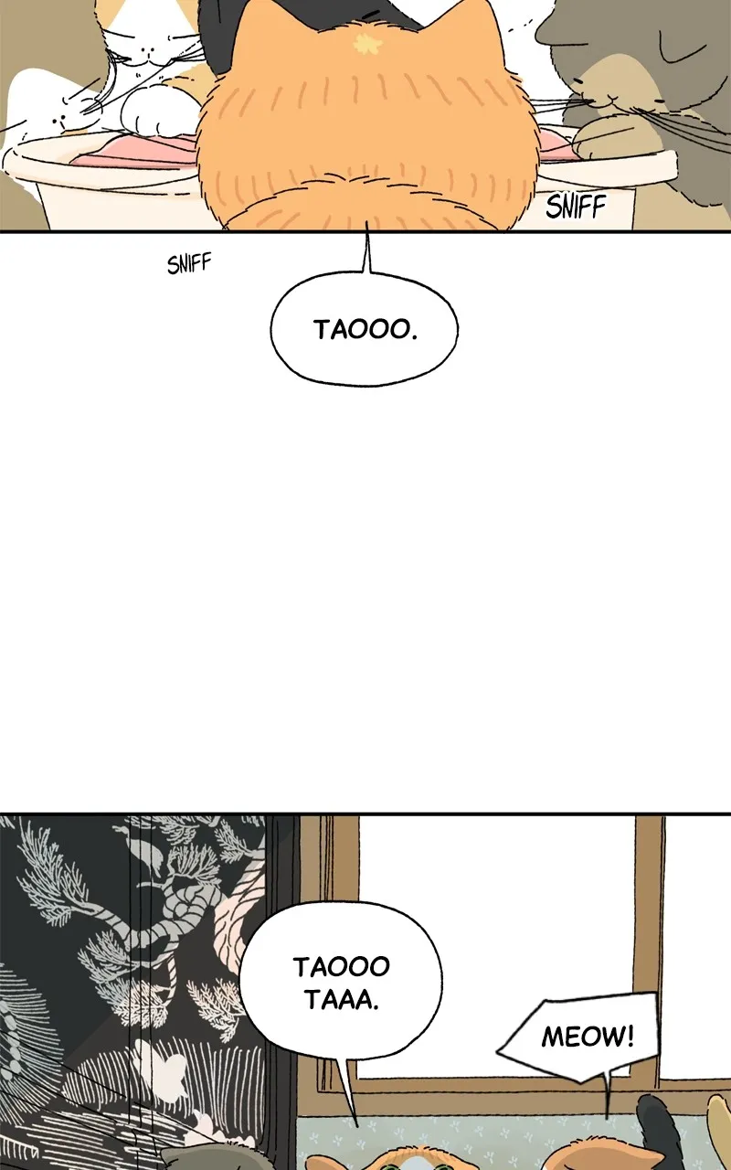 Tata the Cat Chapter 5 page 3 - 
