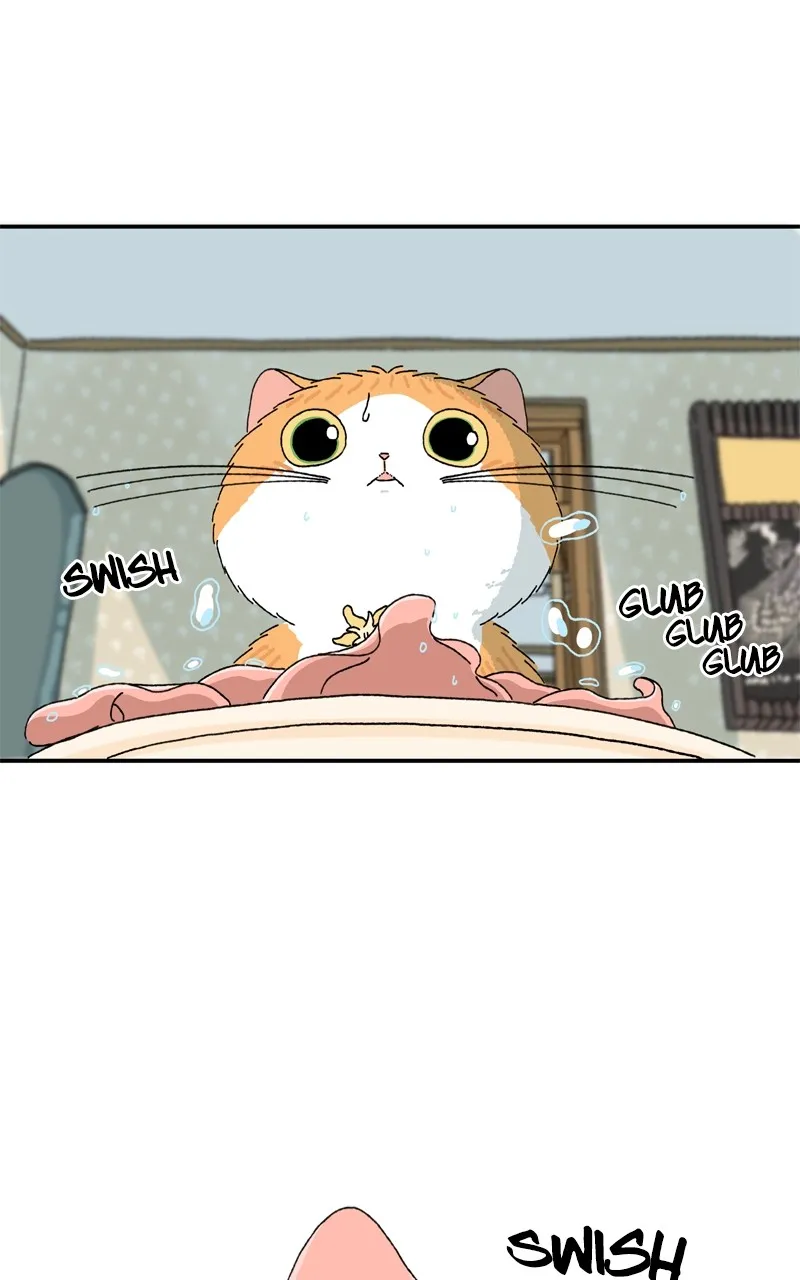 Tata the Cat Chapter 5 page 21 - 