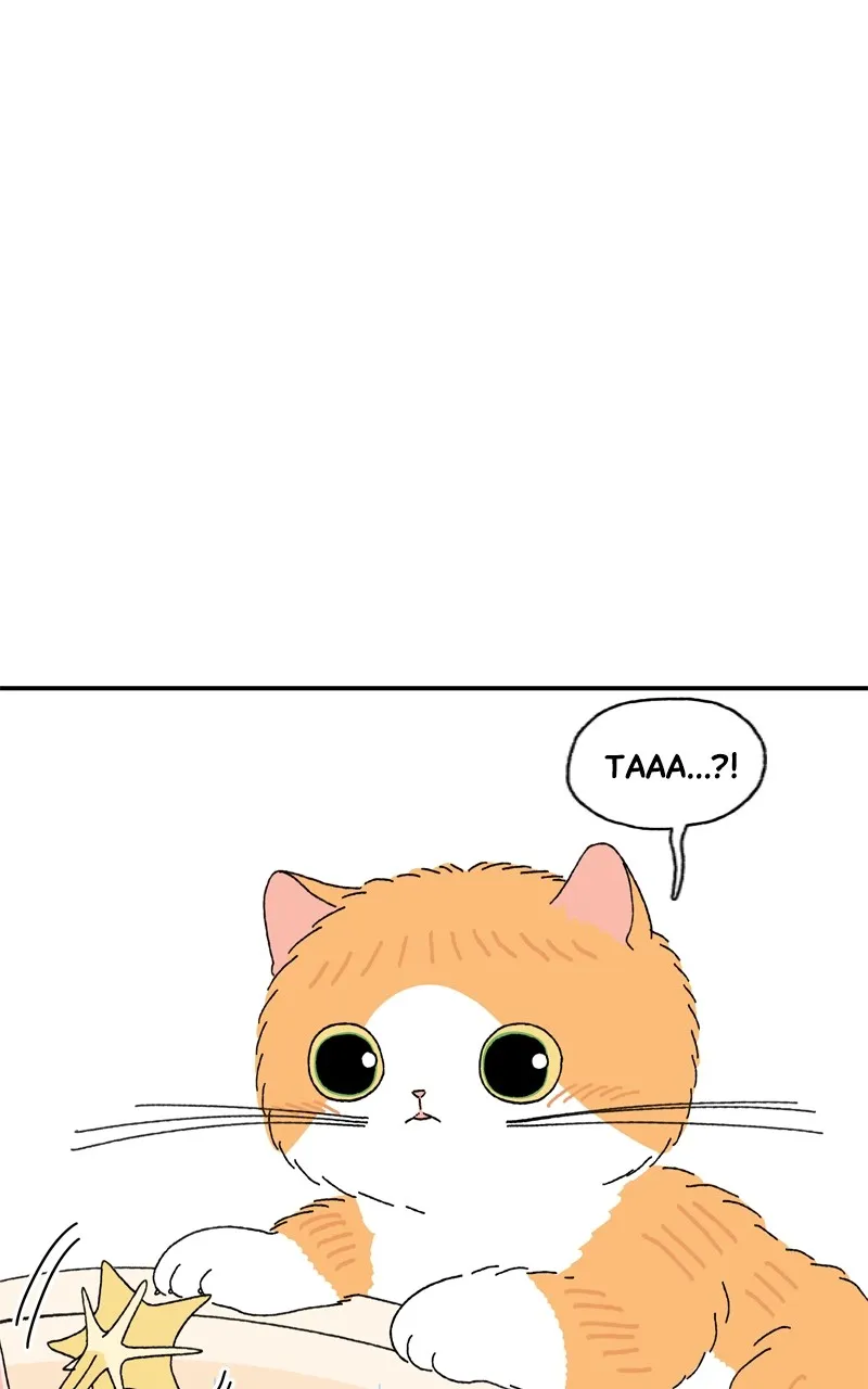Tata the Cat Chapter 5 page 26 - 