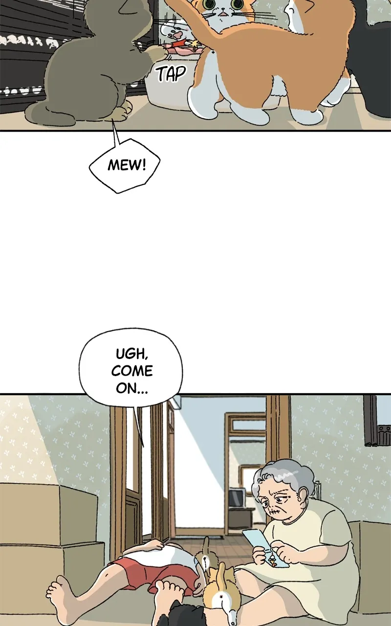 Tata the Cat Chapter 5 page 4 - 