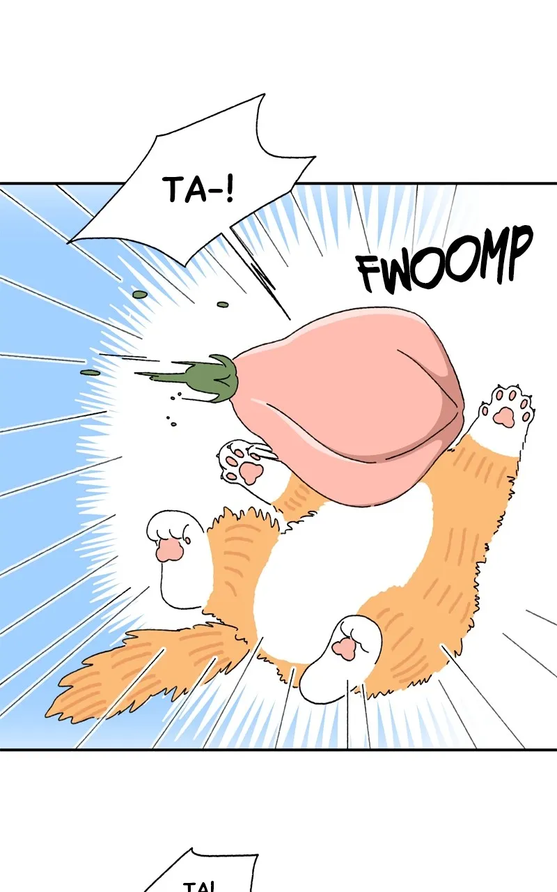 Tata the Cat Chapter 5 page 32 - 