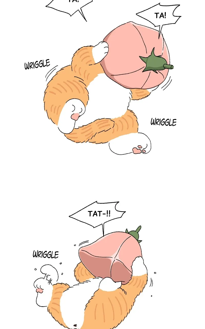 Tata the Cat Chapter 5 page 33 - 