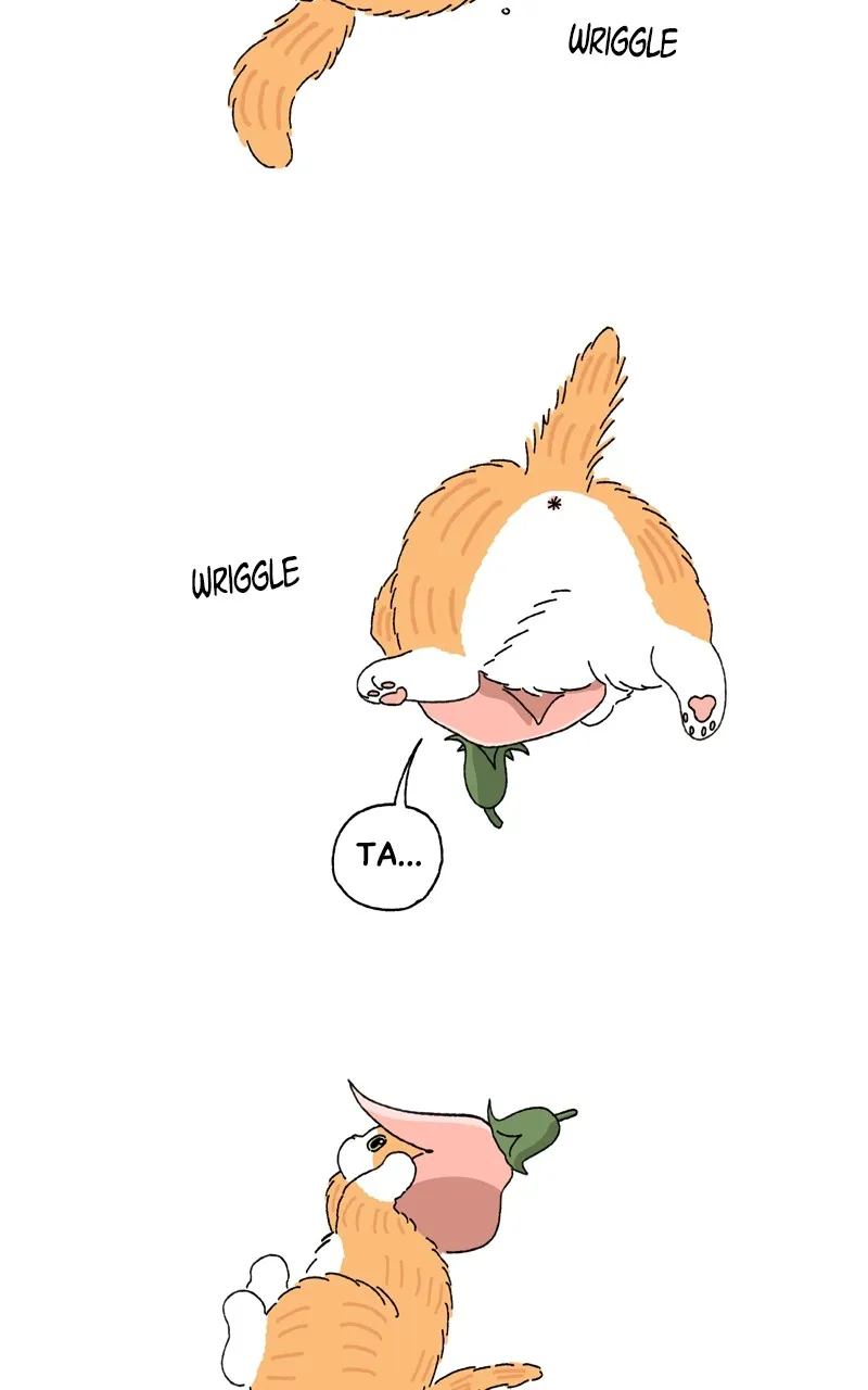 Tata the Cat Chapter 5 page 34 - 