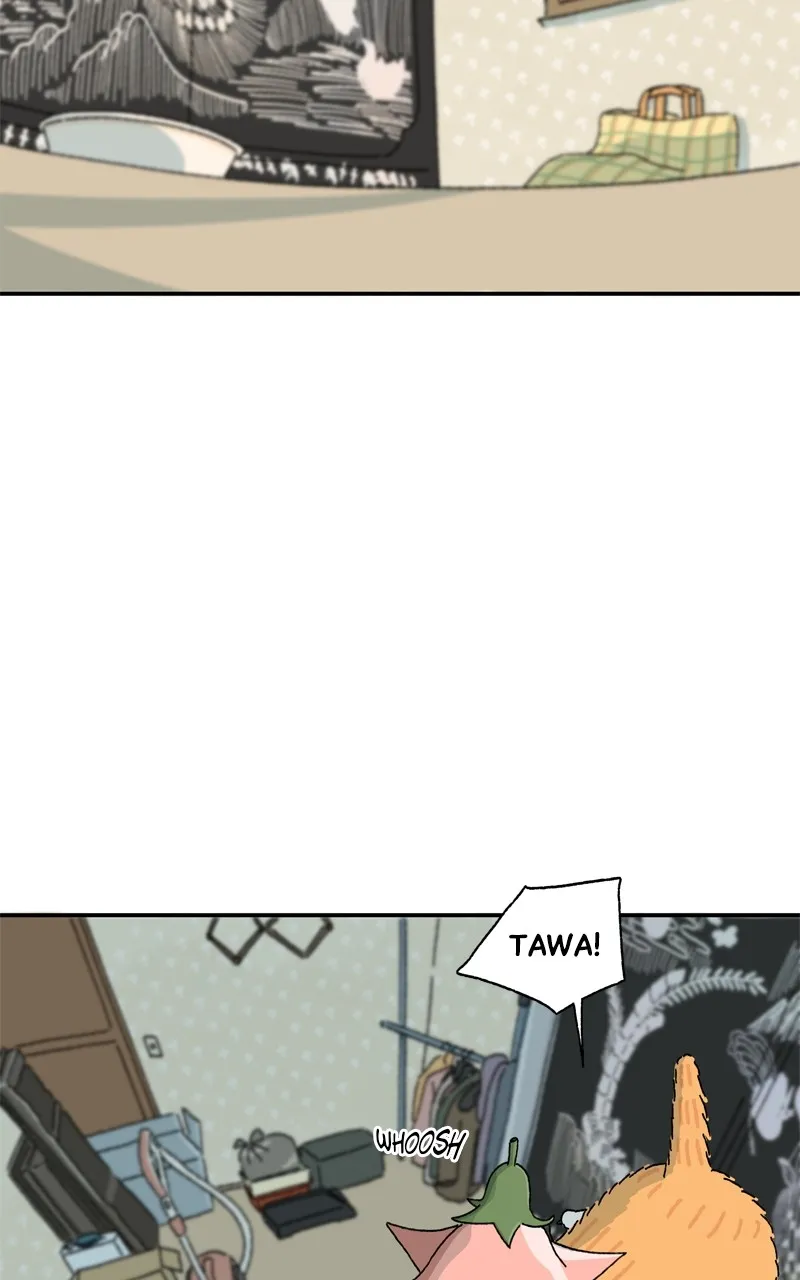 Tata the Cat Chapter 5 page 36 - 