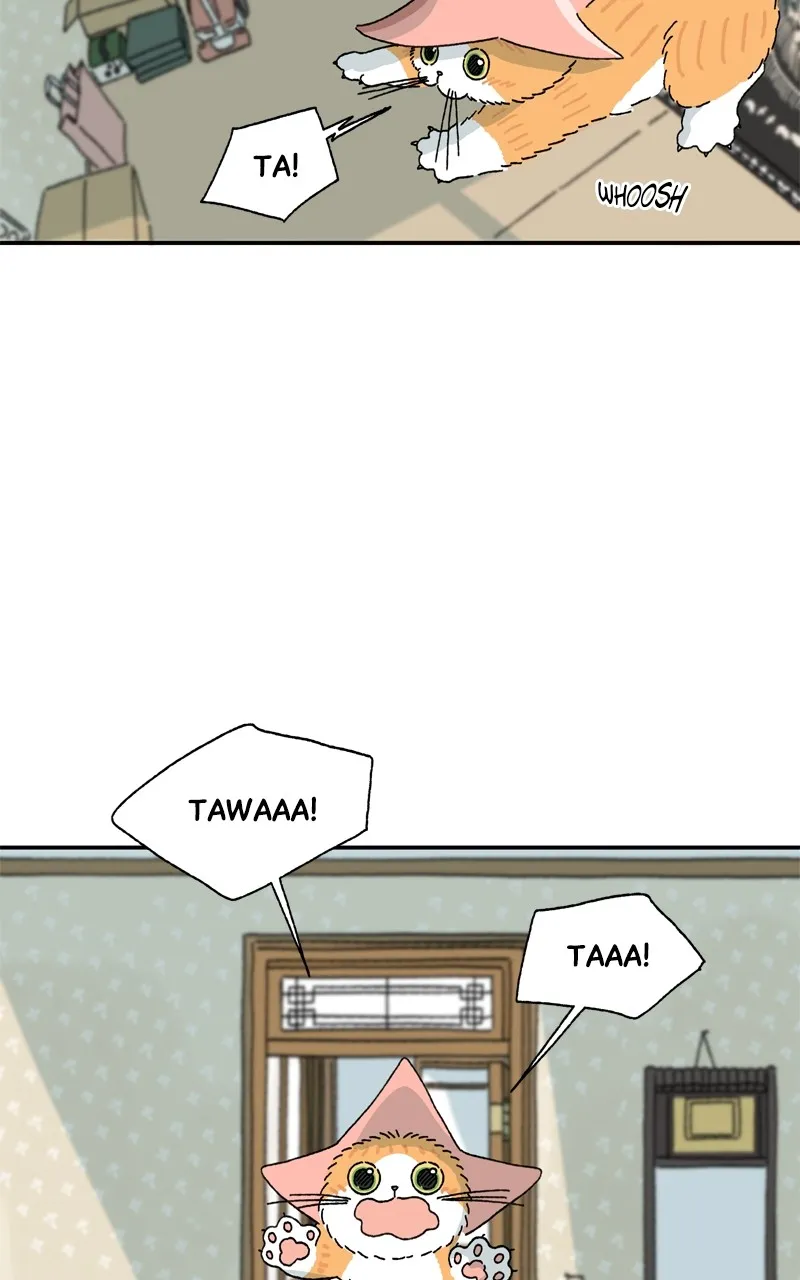Tata the Cat Chapter 5 page 37 - 